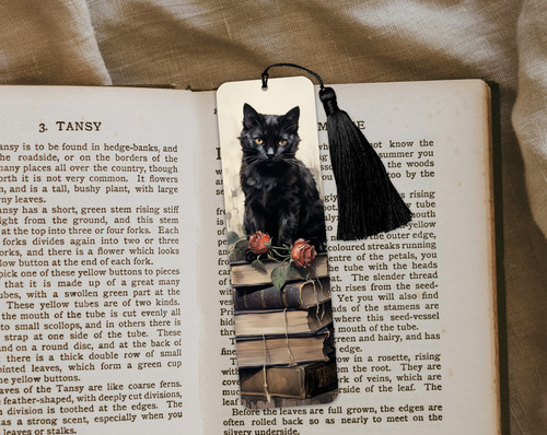 Cat books aluminium - on,